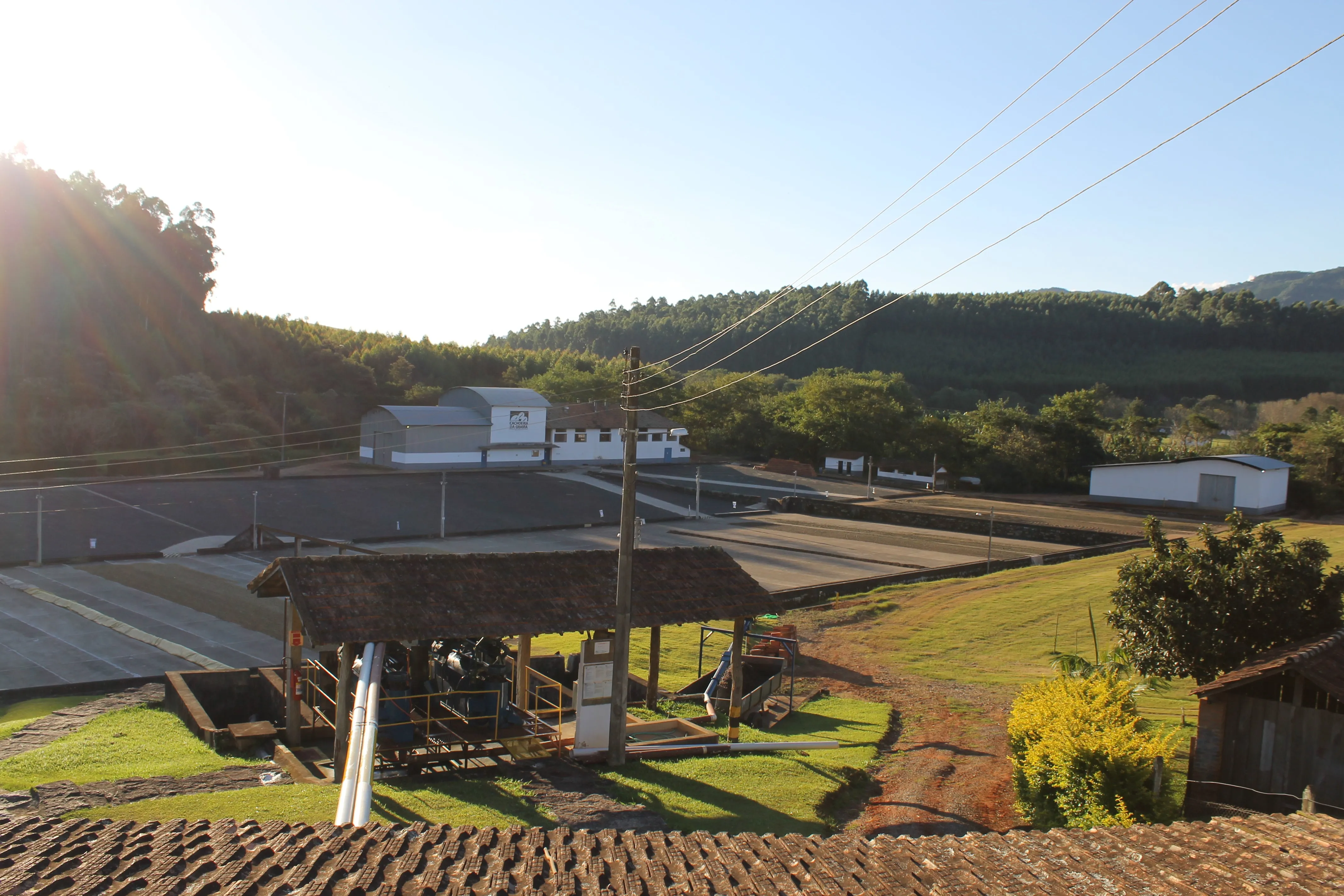 Brazil Fazenda Cachoeira da Grama Pulped-Natural AAA. Available only in Salisbury (MA)