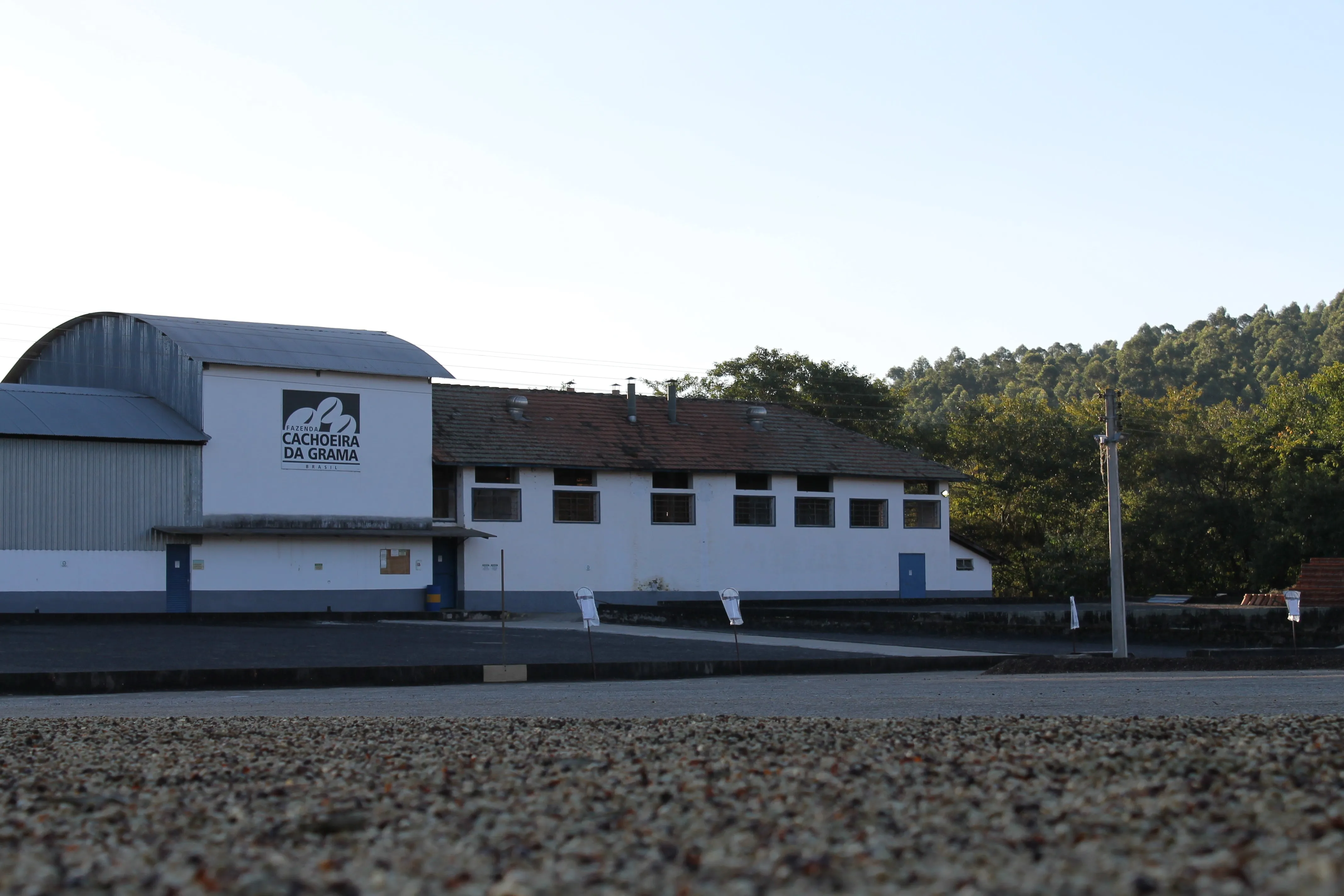 Brazil Fazenda Cachoeira da Grama Pulped-Natural AAA. Available only in Salisbury (MA)