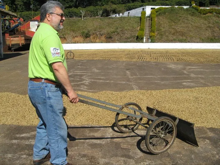 Brazil Fazenda Cachoeira da Grama Pulped-Natural AAA. Available only in Salisbury (MA)