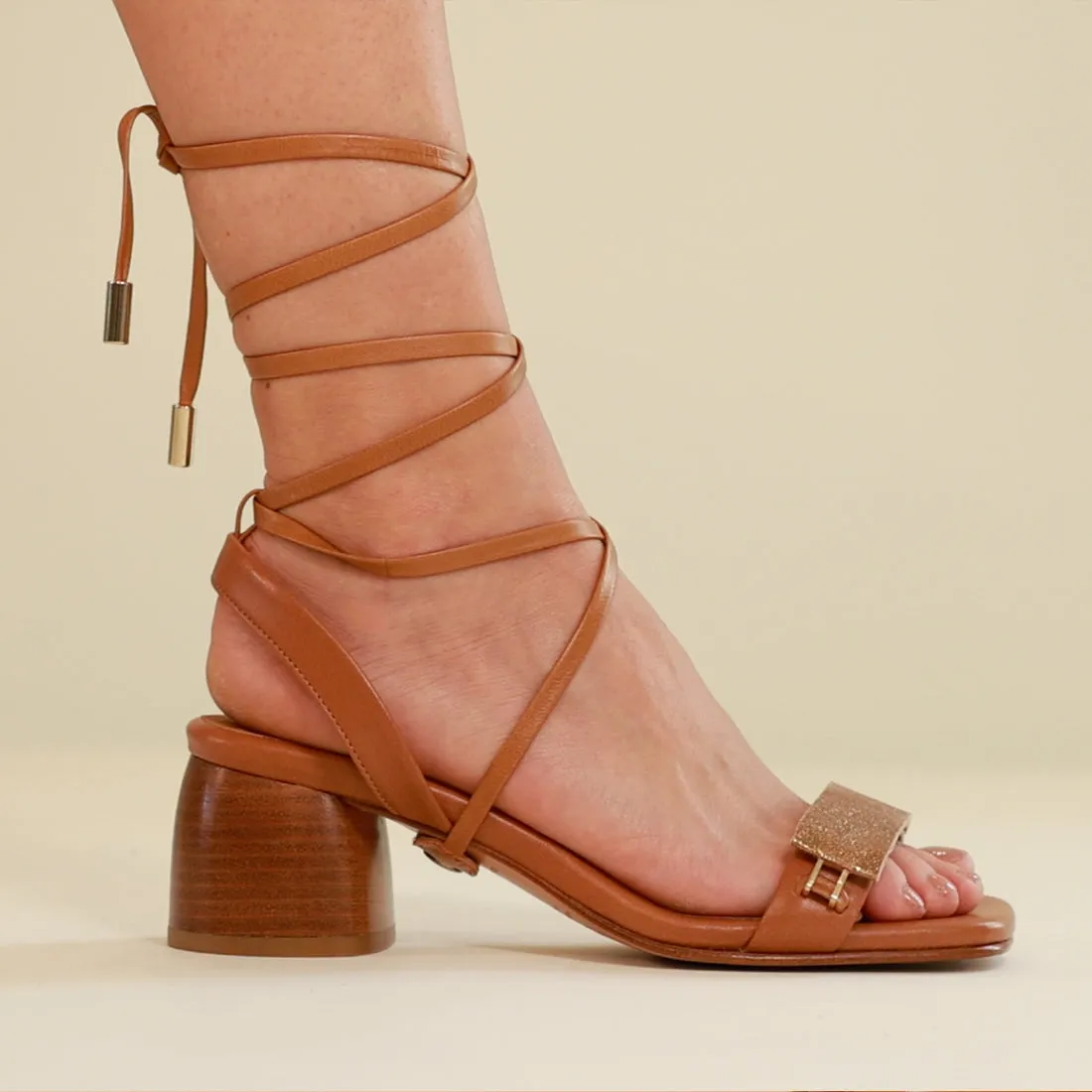 Camel Gladiator
