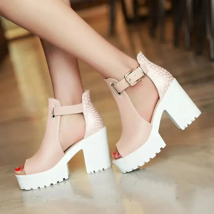 Gladiator Style Square Heel Buckle Strap Sandals