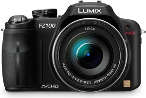 Panasonic Lumix DMC-FZ100 Digital Camera